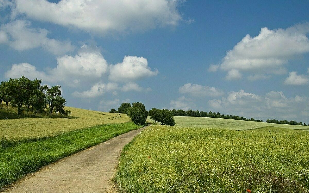 Wanderweg in der Natur Wanderweg in der Natur